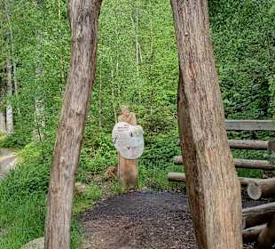 Woid Woifes Welt – Natur-Entdecker-Pfad Bodenmais