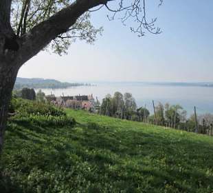 Wallfahrtskirche Birnau