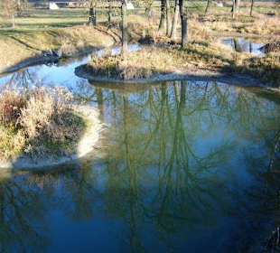 Die Arme der alten Isar