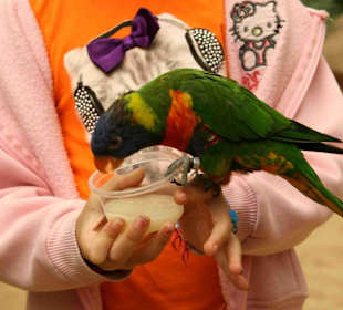 Vogelpark Walsrode