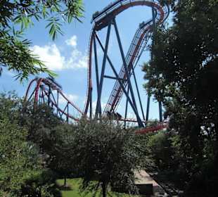 Giganten zwischen den Gehegen