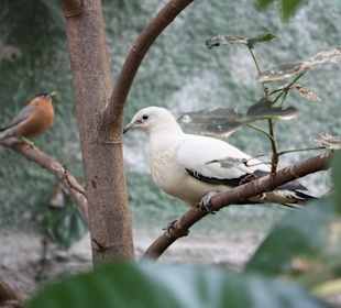 ZOOM Erlebniswelt Gelsenkirchen