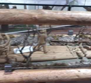 Schüttesäge-Museum