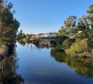 Stadtrundgang Platja de Muro / Playa de Muro