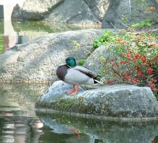 Planten und Bloomen Freizeitpark
