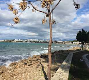 Strand Side - Gündogdu