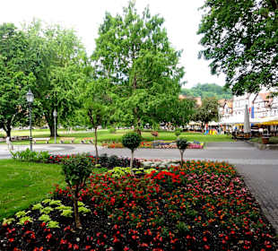 Impressionen aus dem Kurpark