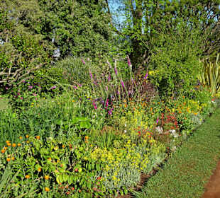Eindrücke vom Rundgang durch Blandy´s Garden