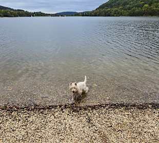 Für richtiges Baden schon zu kalt