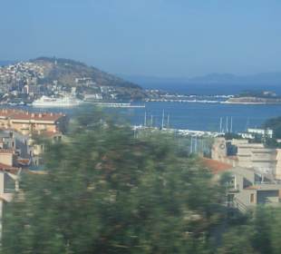 Blick auf die Vogelinsel