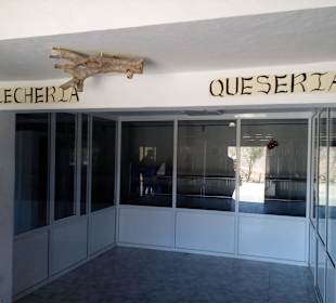 Ziegenfarm Finca Pepe