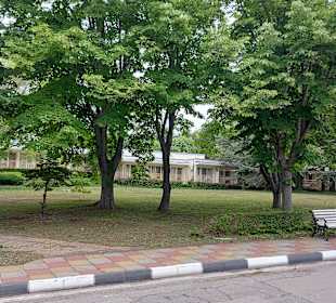 Albena 