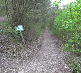Wanderung rund um das Rusenschloss Gerhausen