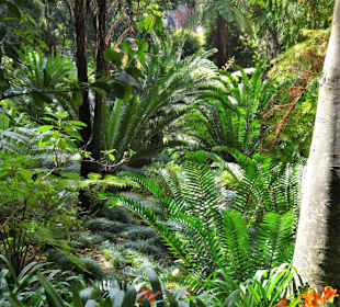 Rundgang durch den Monte Palace Tropical Garden