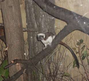 Ogród Zoologiczny
