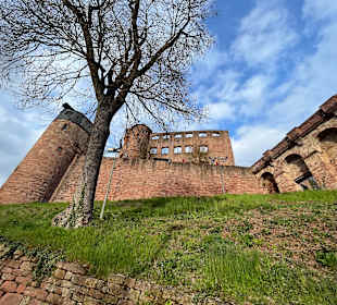 Burg Werheim