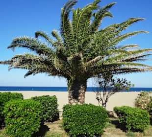 Spaziergang über die Strandpromenade Argelès-Plage