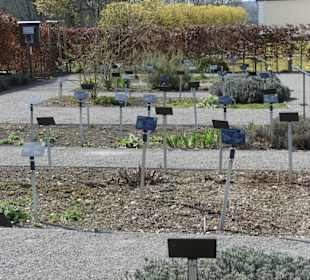 Anordnung der 12 Kräuterbeete