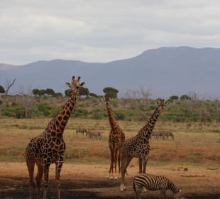 Aussicht von der Lodge