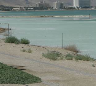 Już widać oleistość