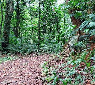 Parque Natural Obô do Príncipe