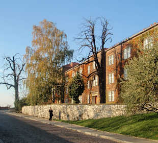 Zamek Królewski Wawel