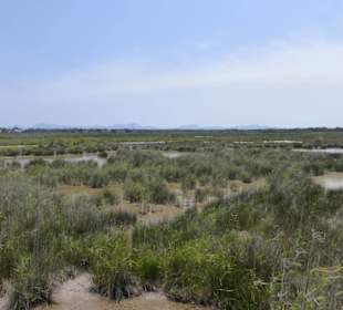 Unterwegs im Naturpark S'Albufera