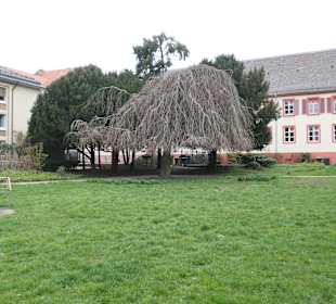 Der kleine New Britain Park