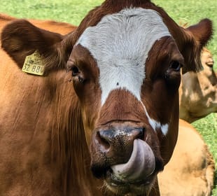 Wandern Bad Bevensen