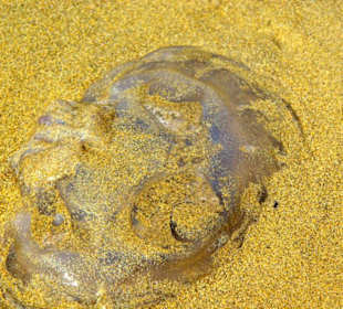 Am Ende von Bibione Yachthafengebiet