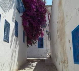 Beidruckende Gassen in Sidi Bou Said