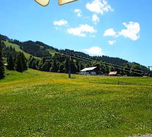 Iseler