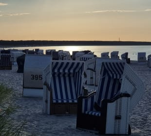 Meer