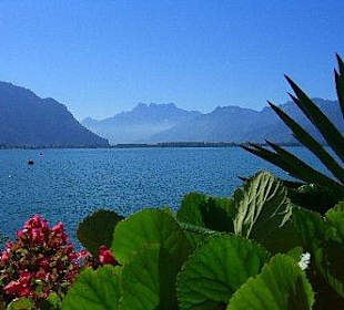 Uferpromenade am Genfer See