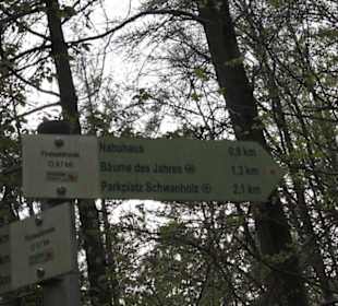 Wanderweg Firstwaldrunde