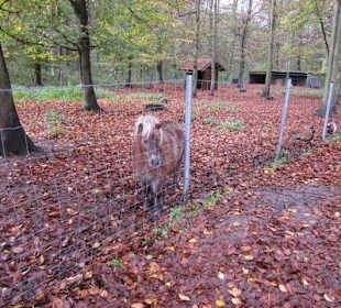 Tier- und Wildgehege