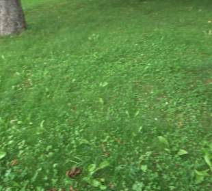 Brunnenstube am Kirchenrain Auingen