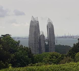 Ausblick