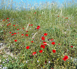 Strand Kallithea