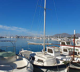Yachthafen Alcudia