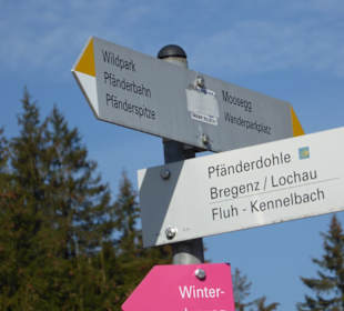 Gasthaus Pfänderdohle - Wegweiser
