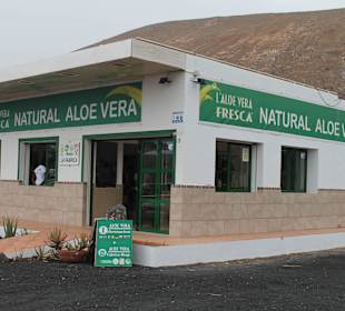 Aloe Vera Infocenter Lanzarote - Yaiza