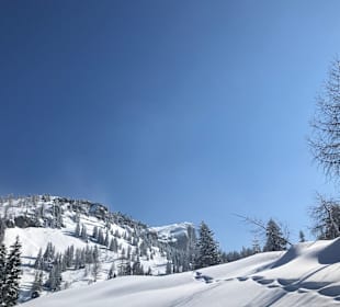 Winterzauber auf der Steinplatte