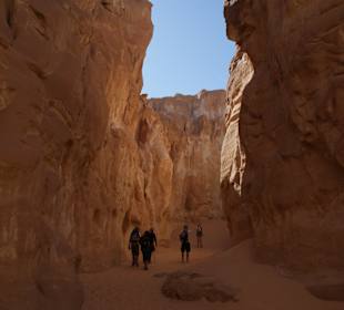 Im Canyon