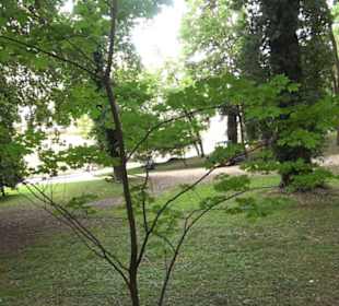 Schlosspark St. Emmeram