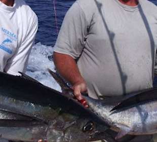 Angelausflug ab Hurghada