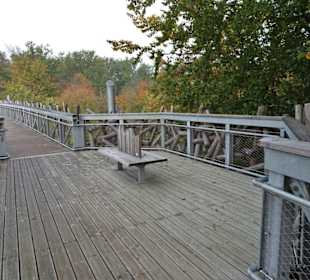 Unterwegs auf dem Baumwipfelpfad Bad Iburg