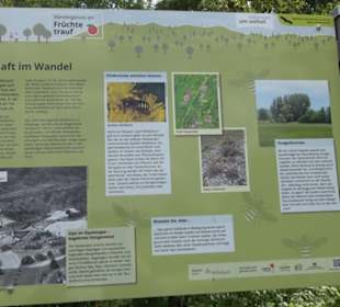 Wanderweg Ammerbucher Gigeleswegle