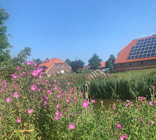 Wandern Wangerland