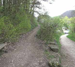 Wanderung rund um das Rusenschloss Gerhausen